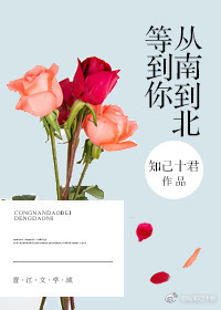 宁夏银川最专业的英语培训学校——英朗雅思留学|AG亚娱集团官方