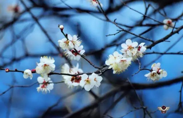 AG亚娱集团官方