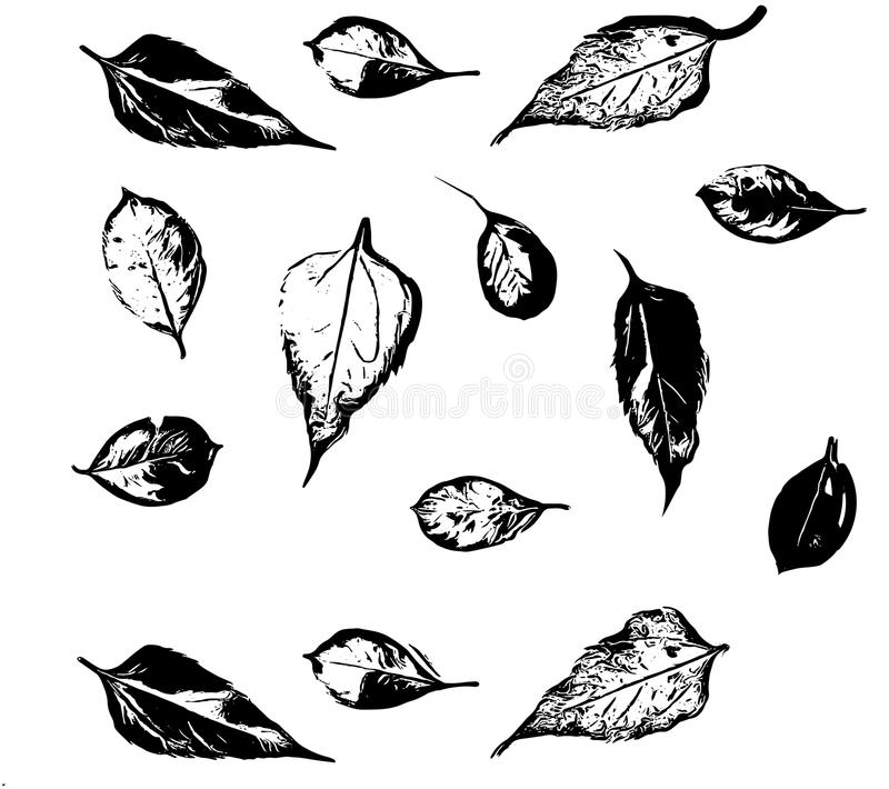 消防形象大使韩红天安门慰问执勤消防官兵【AG亚娱集团官方】(图2) AG亚娱集团官方