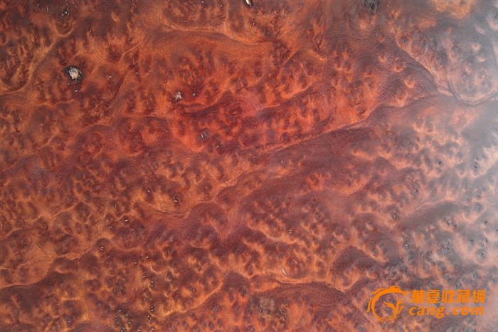 AG亚娱集团官方