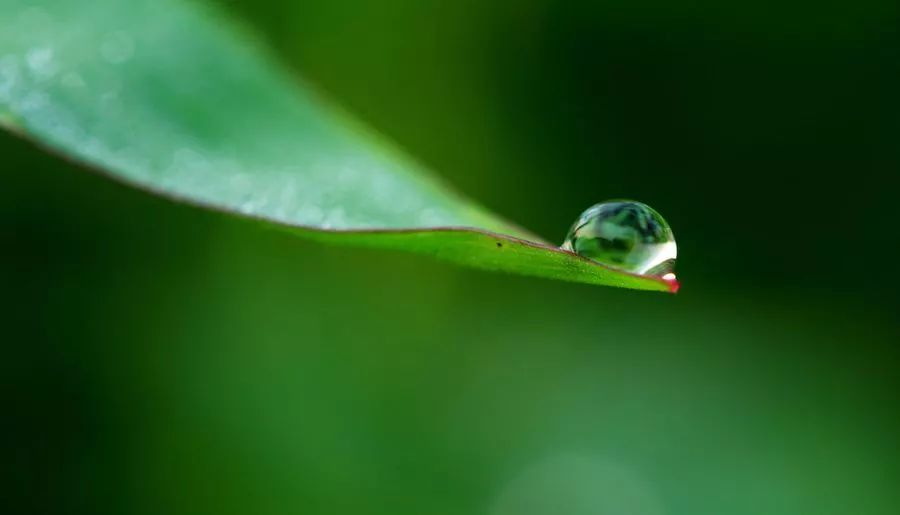 「高考·英语」革新开放以来的新名词英文怎么说？厉害了我的国‘AG亚娱集团’