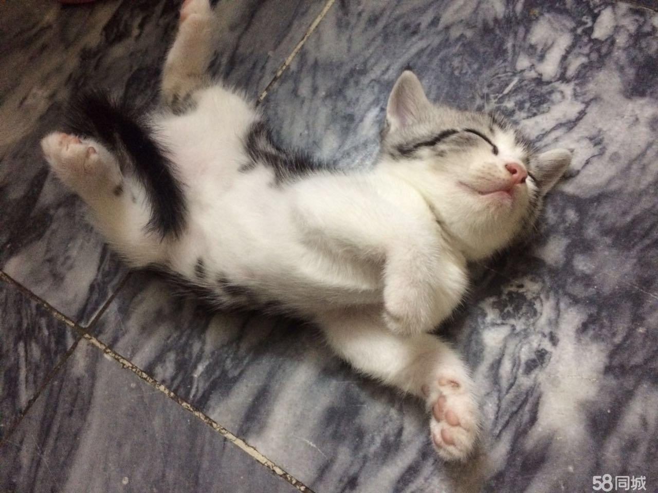 AG亚娱集团官方_应急管理部举办国家综合性消防救援队伍基层