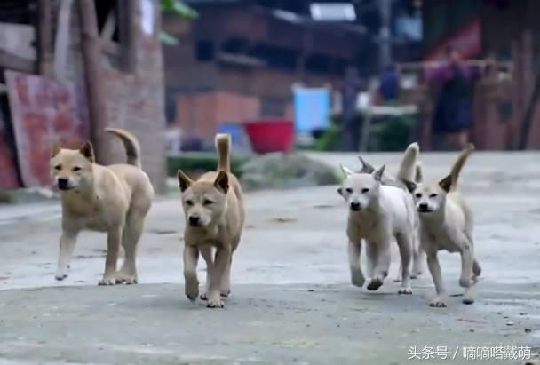 AG亚娱集团官方