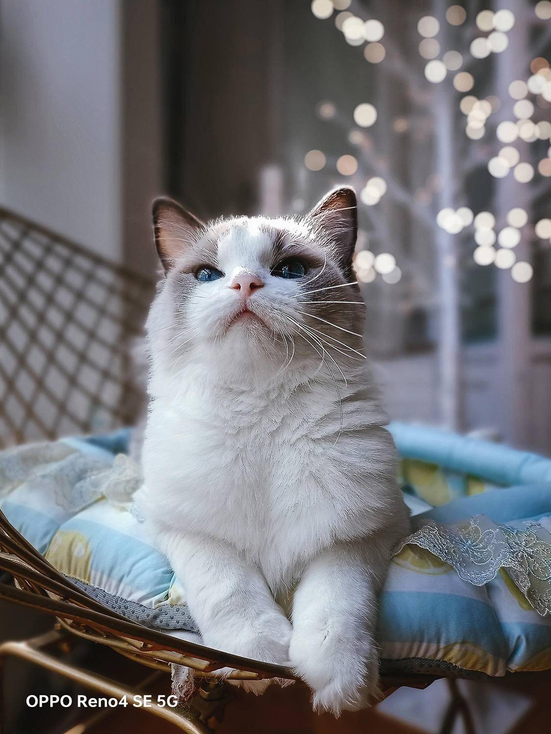 ag亚娱官网：
央媒打call！绿厂超级闪充成中国速度代表 给5分钟更多可能(图11)