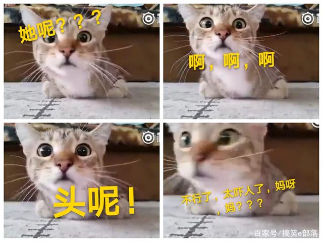 AG亚娱集团官方