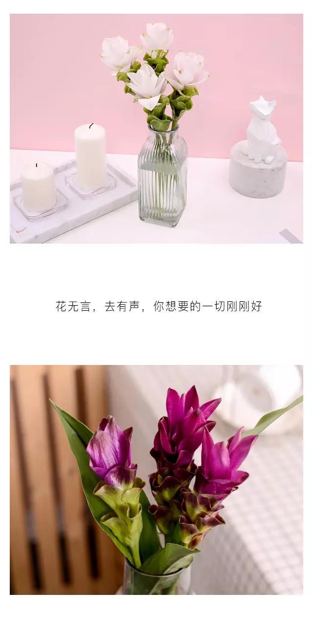 AG亚娱集团官方