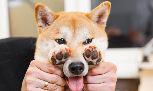 【AG亚娱集团官方】想让你的小品牌快速着名吗？让大媒体来宣传报道你