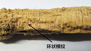 ag亚娱官网