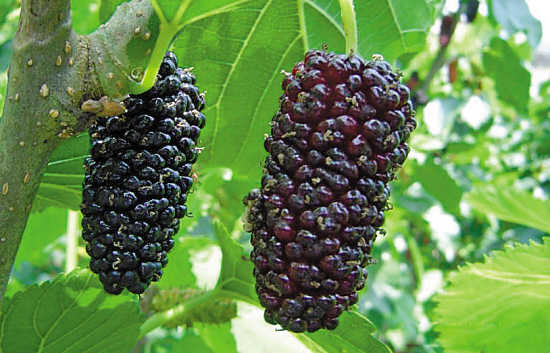 AG亚娱集团官方