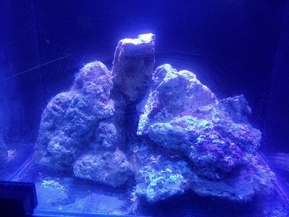 株洲：攸县消防联合县妇联开展精准扶贫工作‘ag亚娱官网’