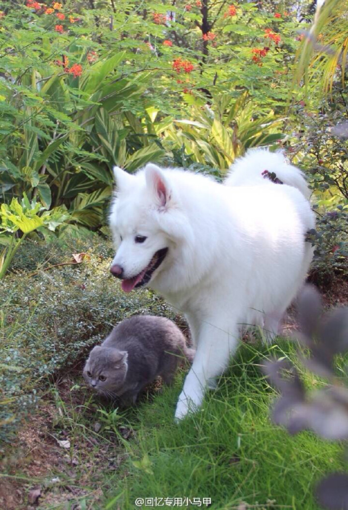 影视后期制作必备教科书《视频剪辑原理到实战》出版‘AG亚娱集团’(图2) ag亚娱官网