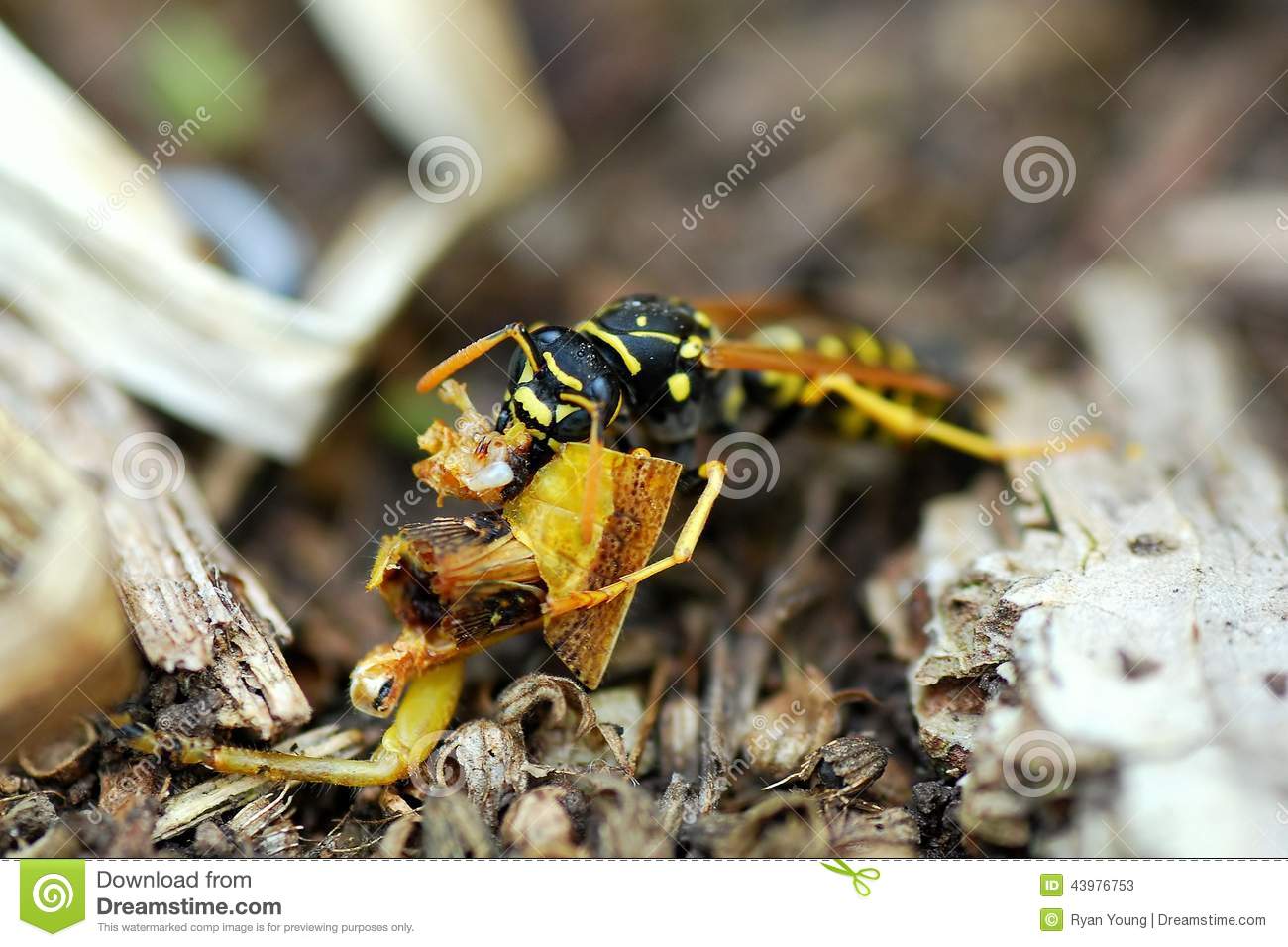 “ag亚娱官网”应急部消防救援局要求全力支持消防产品生产企业复工复产(图2) AG亚娱集团官方