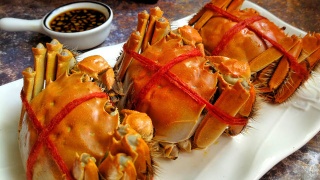 ‘AG亚娱集团’暑假作业难完成 学习宝智能识别让答题更轻松