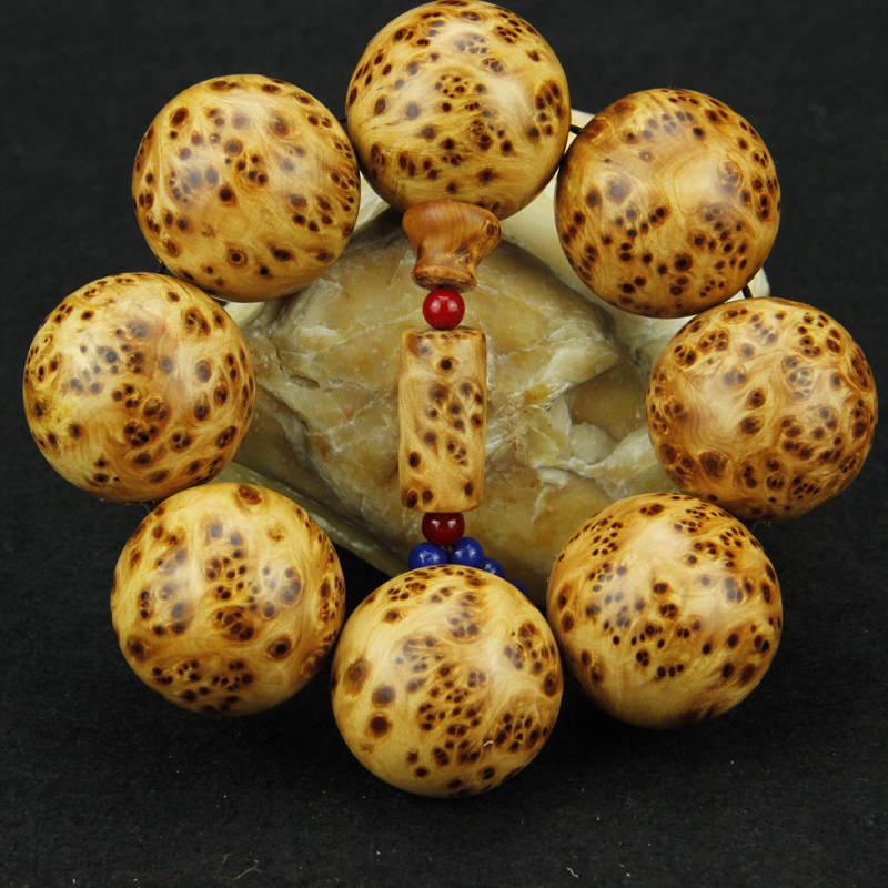 泉州消防举办“警校携手 共筑平安”宣传活动_AG亚娱集团