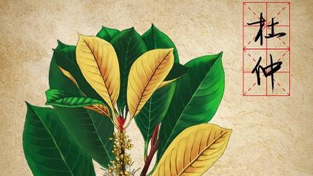 ‘ag亚娱官网’2020高考作文模拟题导写：提高前言素养，做时代“新人”