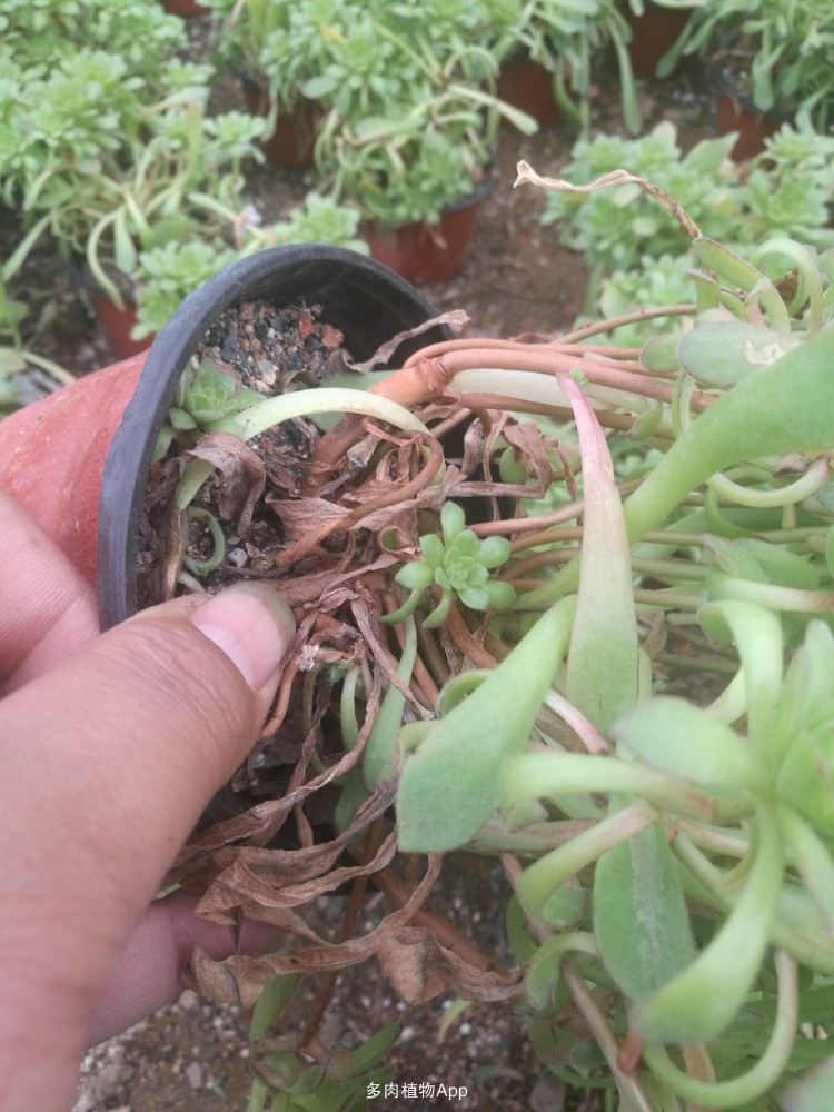 ‘ag亚娱官网’全国灾害综合风险普查试点工作启动