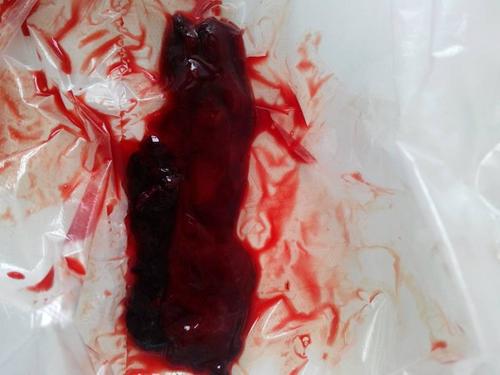 【ag亚娱官网】宁海“安全启蒙课”进幼儿园 200萌娃学逃生术