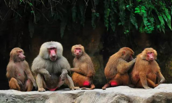 公安消防——枕戈待旦全警备勤：ag亚娱官网