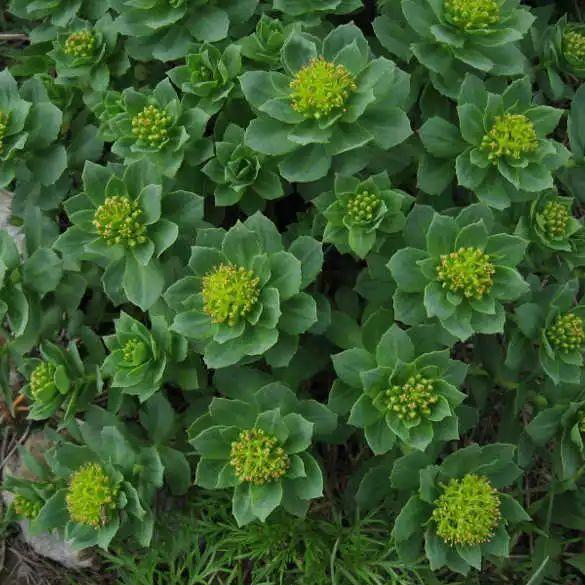 AG亚娱集团官方