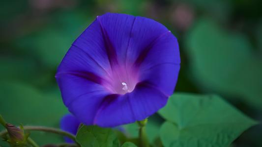 11月最后13天虎·羊·蛇三生肖厄运远离 小人不近 今后富贵到年底‘AG亚娱集团官方’(图2)
11月最后13天虎·羊·蛇三生肖厄运远离 小人不近 今后富贵到年底‘AG亚娱集团官方’(图2)