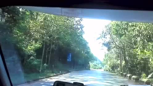 11月最后13天虎·羊·蛇三生肖厄运远离 小人不近 今后富贵到年底‘AG亚娱集团官方’(图4) ag亚娱官网