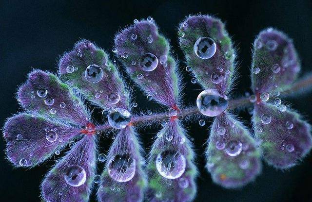 11月最后13天虎·羊·蛇三生肖厄运远离 小人不近 今后富贵到年底‘AG亚娱集团官方’(图3)
11月最后13天虎·羊·蛇三生肖厄运远离 小人不近 今后富贵到年底‘AG亚娱集团官方’(图3)