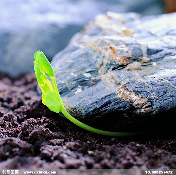 现场花絮：最酷的机器人，最火的会场，还有最牛的演讲者|CCF-GAIR2017|ag亚娱官网