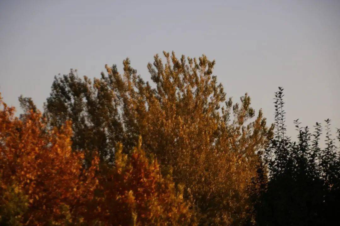 
新媒体中心开展单反相机使用技术培训“AG亚娱集团”(图8)