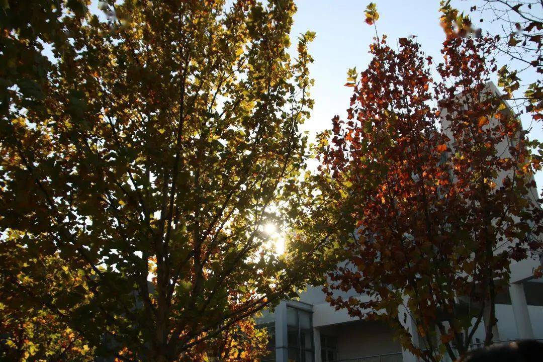 
新媒体中心开展单反相机使用技术培训“AG亚娱集团”(图11)