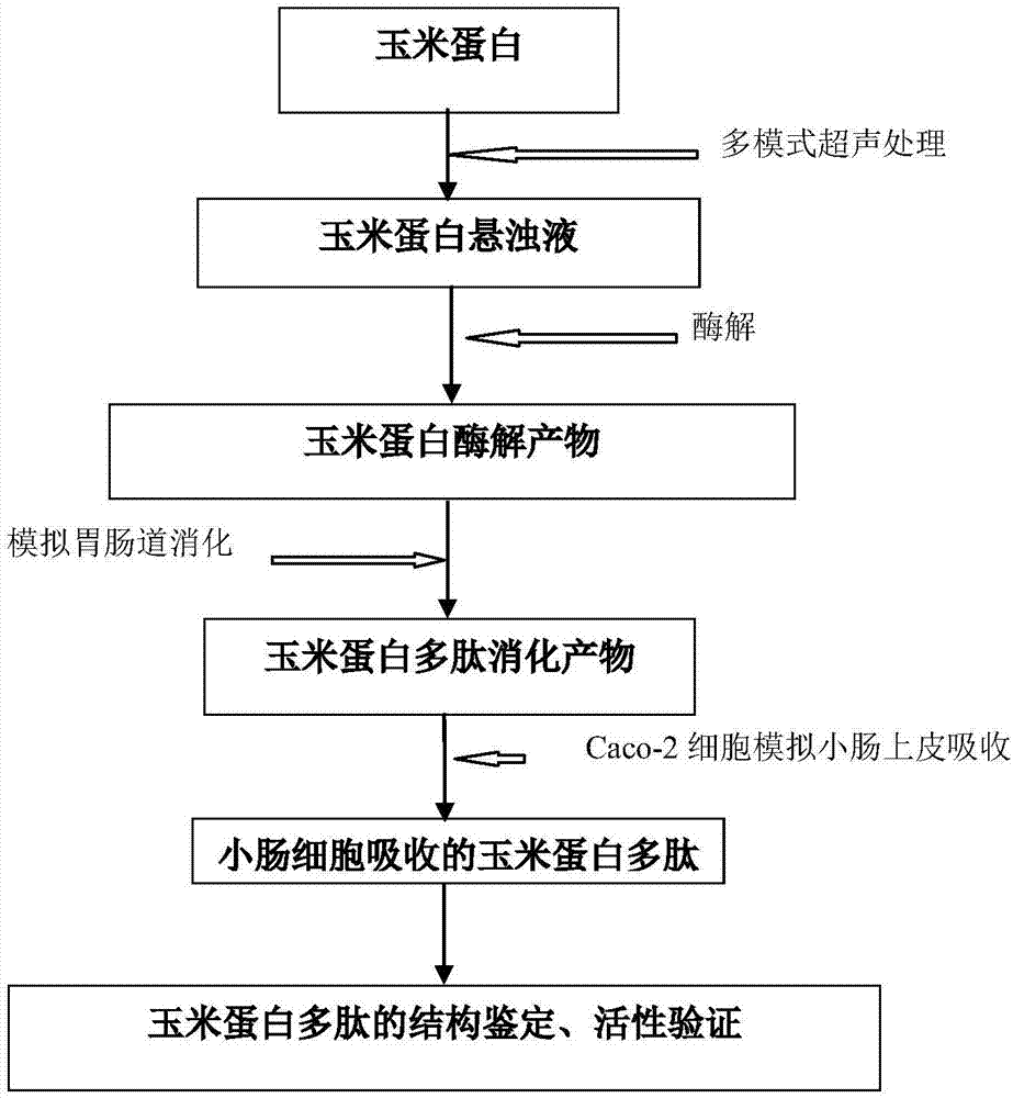 百度高级副总裁陆复斌离职：将创办新公司|AG亚娱集团官方
