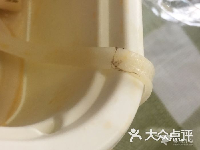 费雪小能人夏令营，开启新时代小能人探索之旅【AG亚娱集团官方】