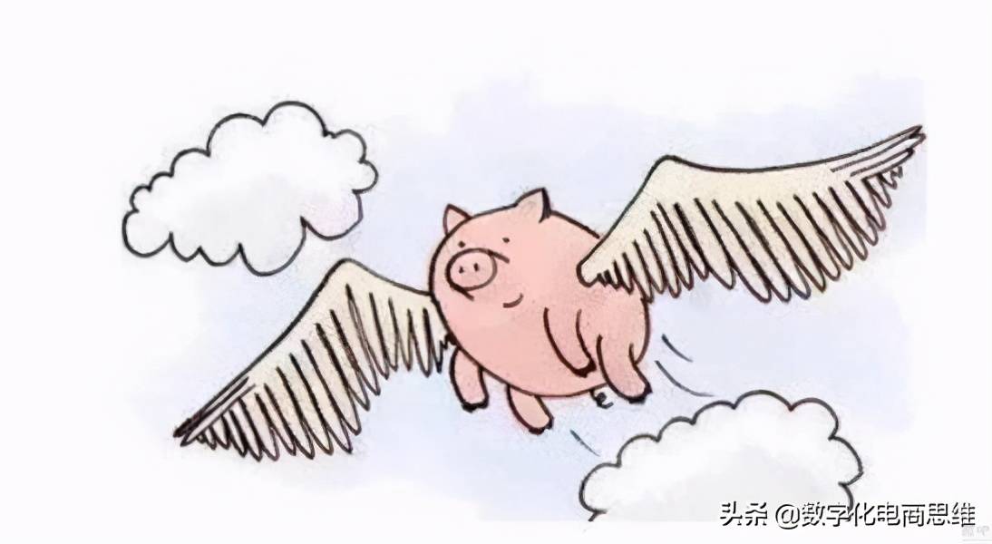 
做自媒体创业赚钱 要的是耐心和缔造力 不是追风口赶热点|ag亚娱官网(图3)