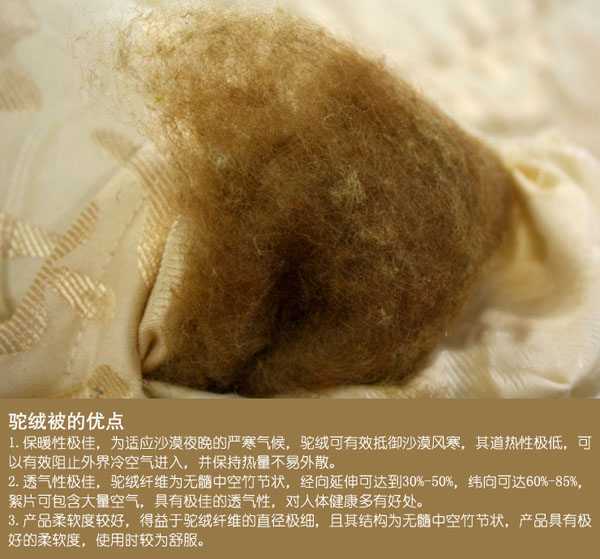 AG亚娱集团_两江消防宣传进社区 畅通生命通道普及防火常识